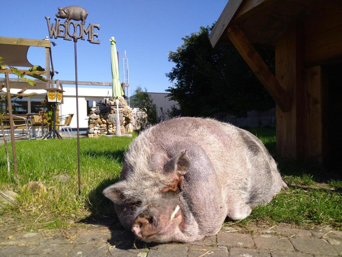 Katoo Bed & Breakfast Linne